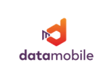 DataMobile, версия Online — подписка на 12 месяцев